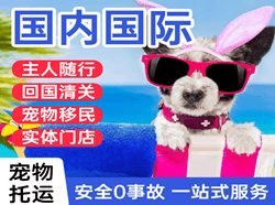 信阳明港机场物流国际宠物托运 【国